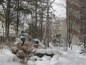 071224_white