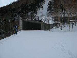 080204_snowshed
