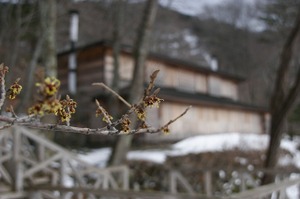 090309_mansaku_2