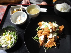 090330_nanbankaraage