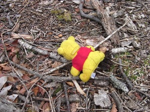 090426_pooh