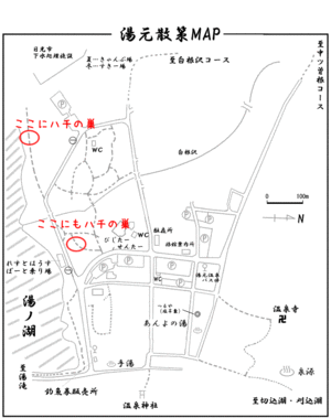 090820_honeycombmap