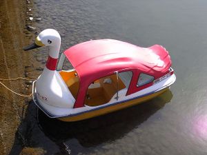 100311_swan