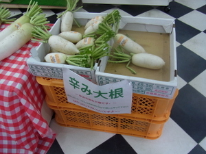 110830_karamidaikon