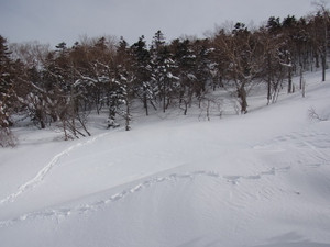 120228_kokkyoudaira