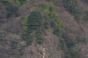 120504_hokugan2