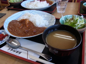 120807_tomatocurry