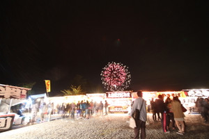 121012_akinohanabi_demise