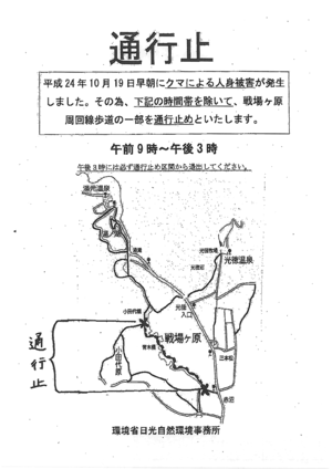 121022_kumakisei