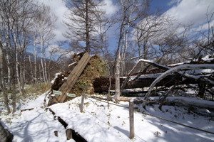 130412_mokudou_haneagaru