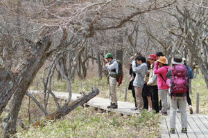 140504_kaeruwalk