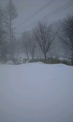 雪だ〜〜〜!!!