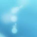 湯ノ湖のアズマシャクナゲが凄いっ！