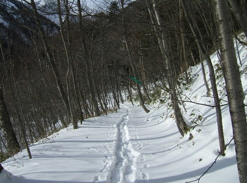 20070101 石楠花平コース