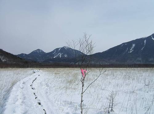 070124 戦場ヶ原