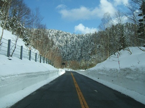 070419 金精道路