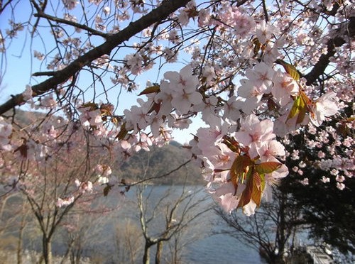 080506　中禅寺