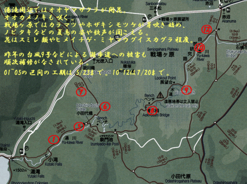 080512　戦場ヶ原