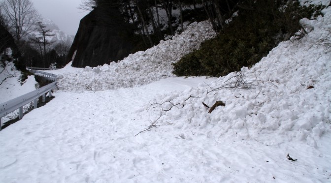 春の陽気で案の定？