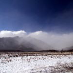 冬の雨が過ぎて