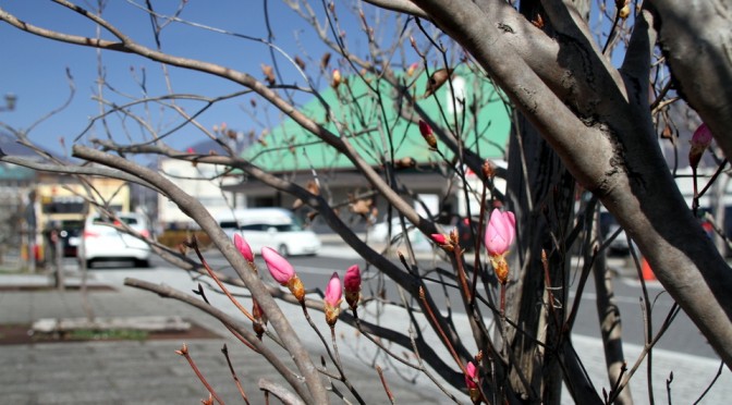 一日分のズレ