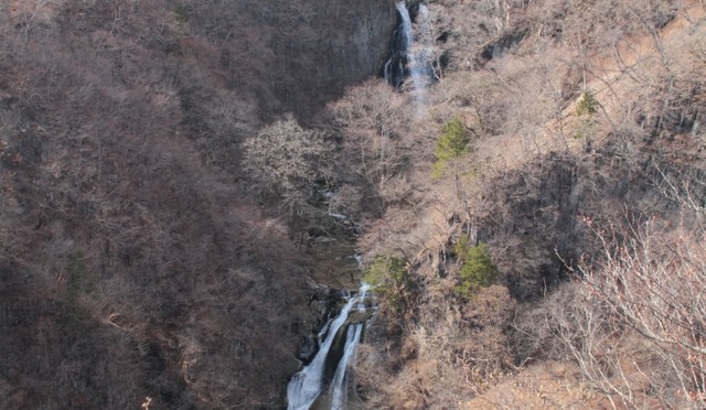 早春恒例、霧降へ