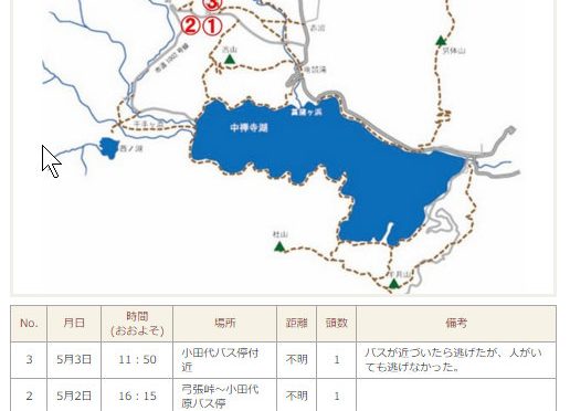 奥日光のクマ情報は・・・