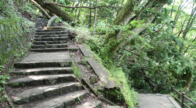 湯滝横階段、通行可能。