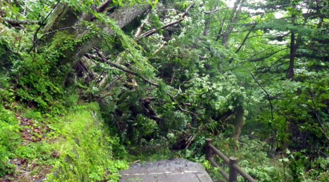 湯滝横階段、通行止め