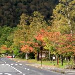 奥日光の紅葉_2016年10月3日