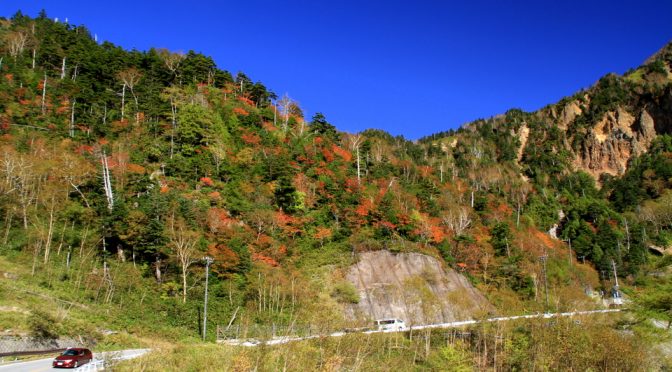 奥日光の紅葉_台風一過