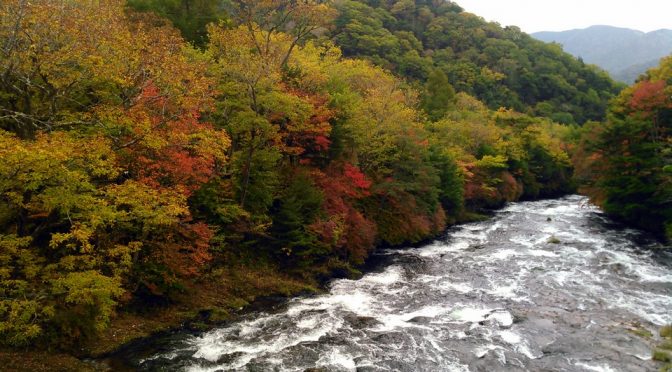 奥日光の紅葉_16年10月13日