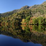 湯ノ湖兎島の紅葉_16年10月15日