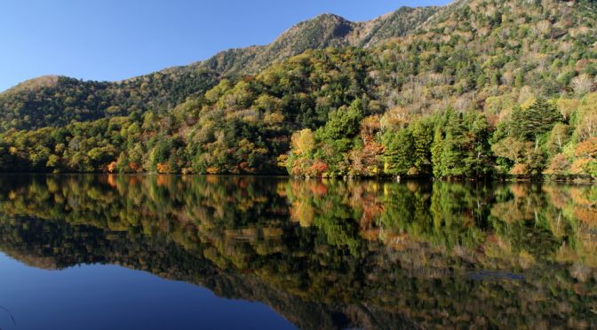 湯ノ湖兎島の紅葉_16年10月15日