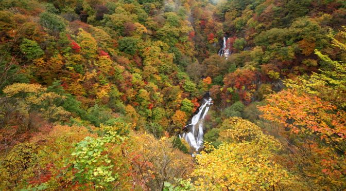 霧降滝紅葉見頃＿16年11月1日