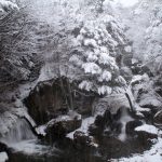 中禅寺湖、ヒメマス持ち帰り可！