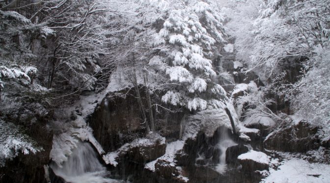 中禅寺湖、ヒメマス持ち帰り可！