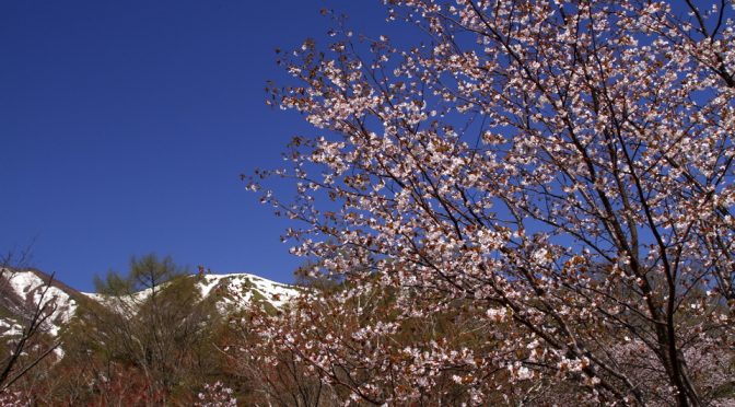 フラワートレッキング紅葉編！？