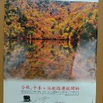 紅葉の千手ヶ浜航路