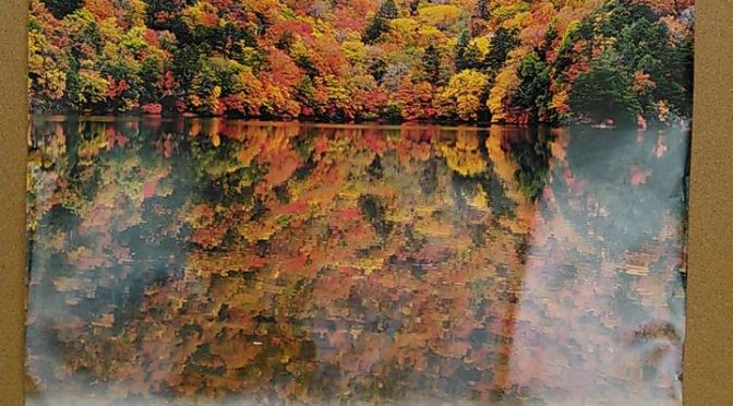 紅葉の千手ヶ浜航路