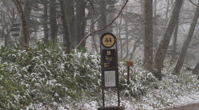 さっそく積雪