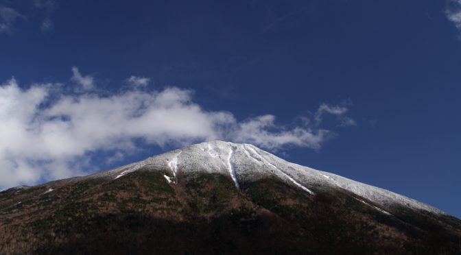 ちょびっと出てます。