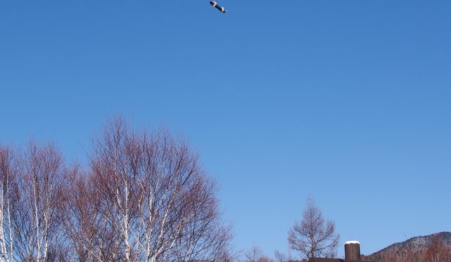 空を行くもの