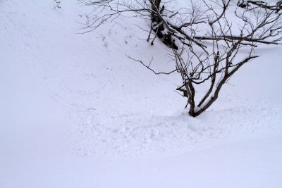 180202_hyousou