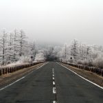 霧氷そして雪