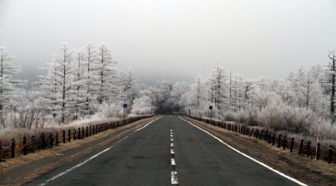 霧氷そして雪