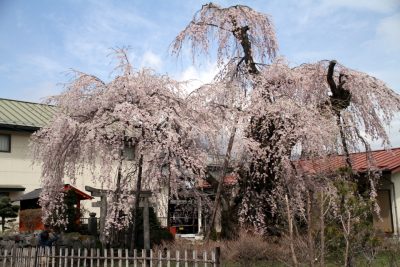 180406_kishinoke