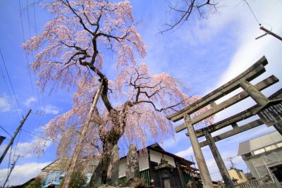 180406_kokuzou