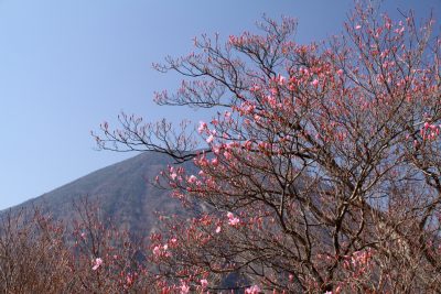 180420_nantai_yasio