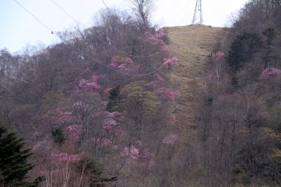 180429_akayasio